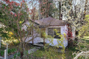 Abundant Gem Home near downtown Mount Shasta - long term